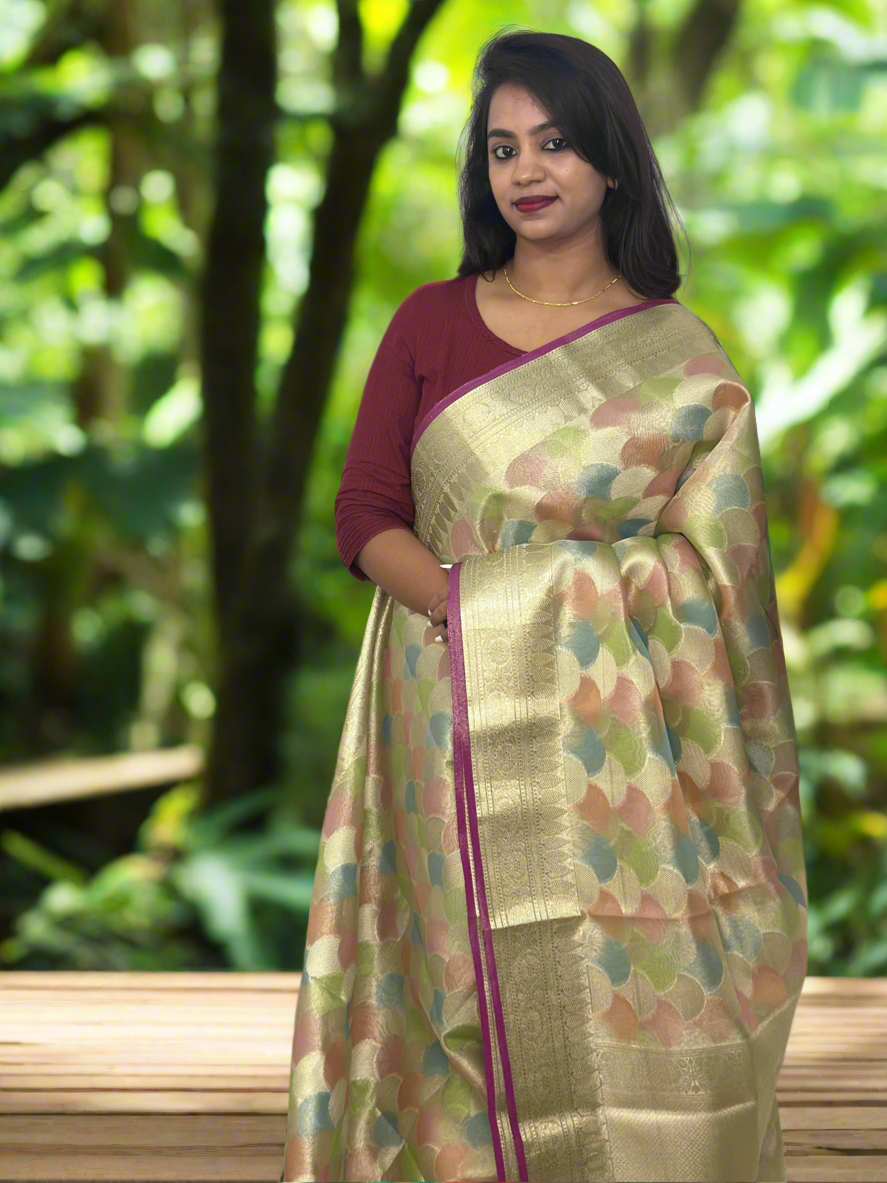 Banarasi Tissue Silk