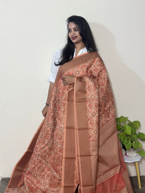 Banaras Patola Saree