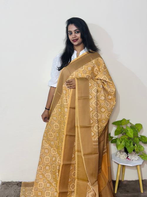 Banaras Patola Saree