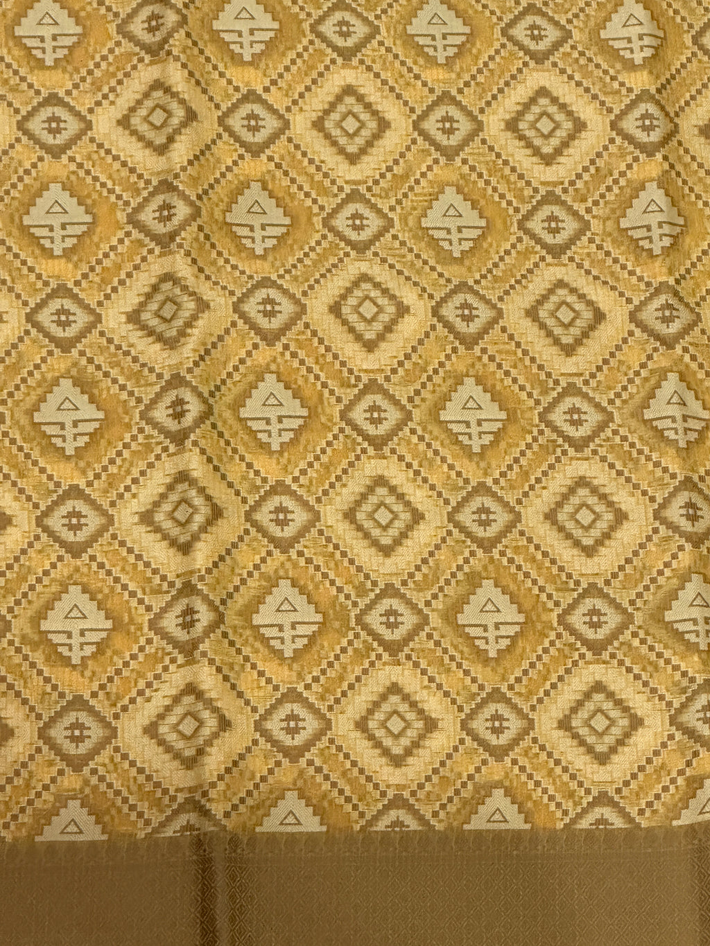 Banaras Patola Saree