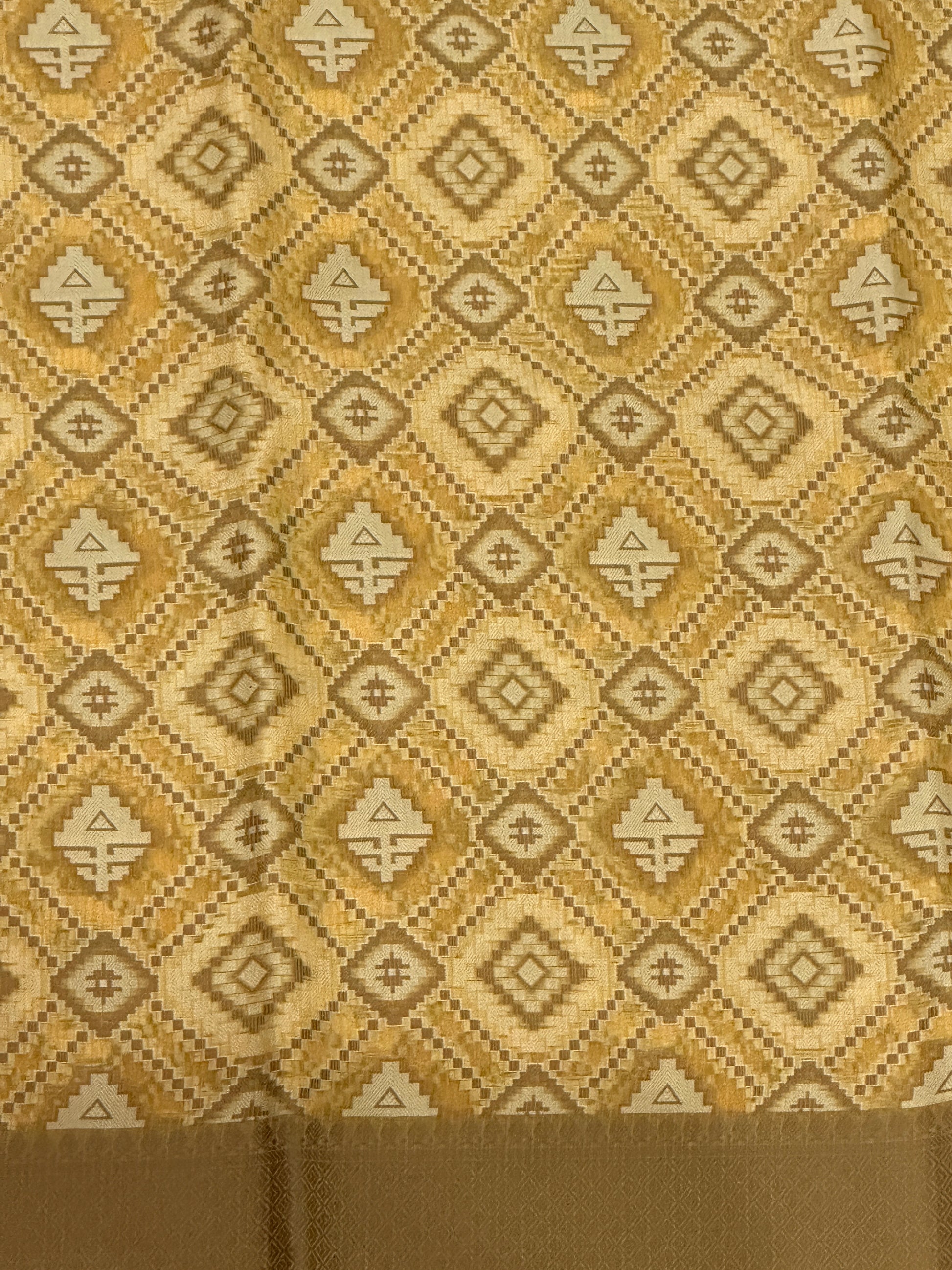 Banaras Patola Saree