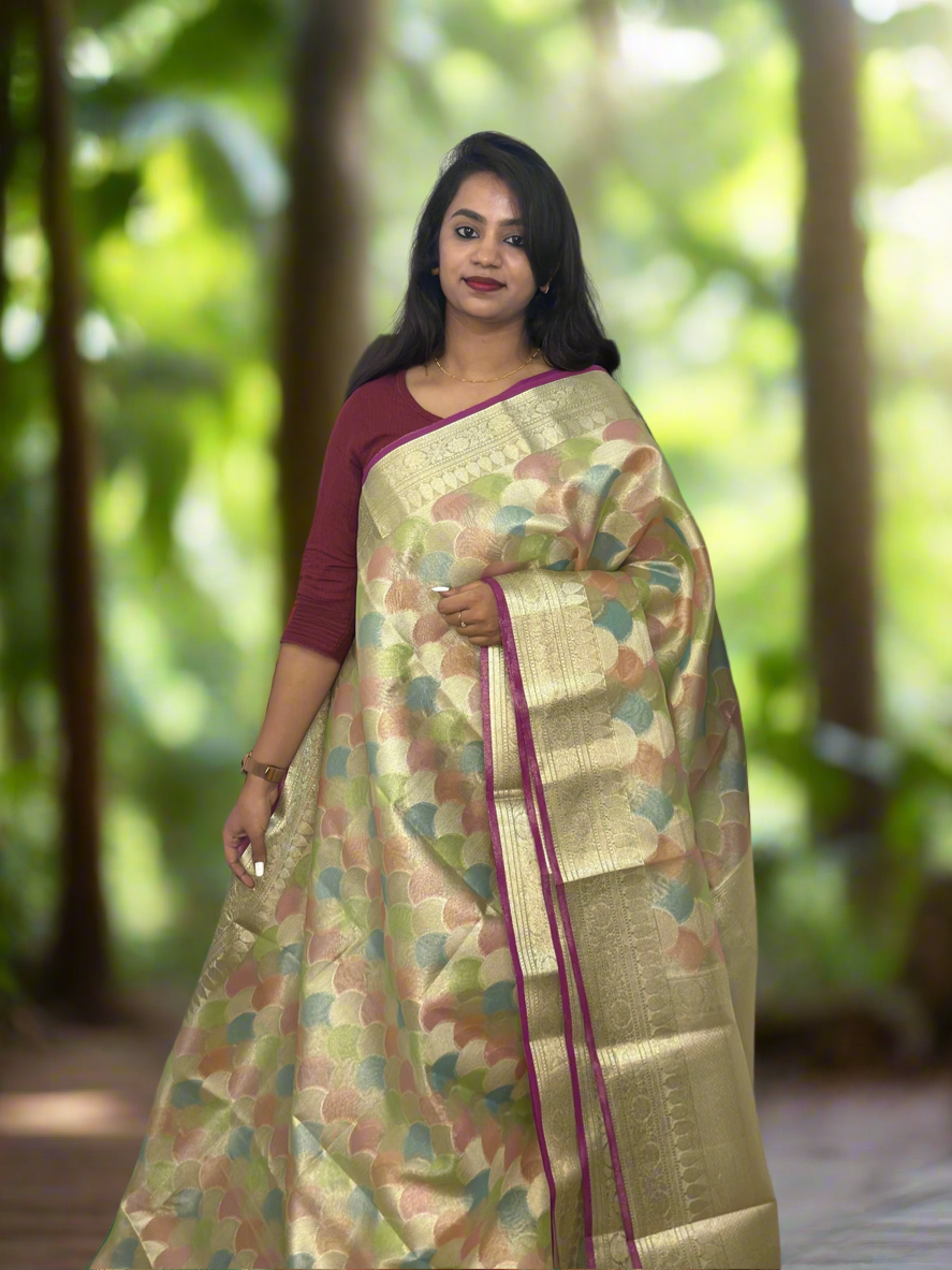 Banarasi Tissue Silk