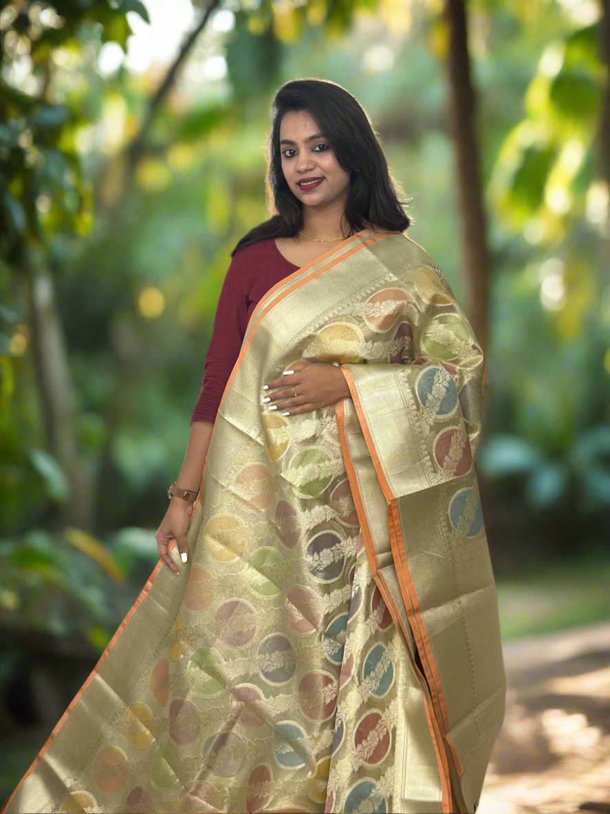Banarasi Tissue Silk